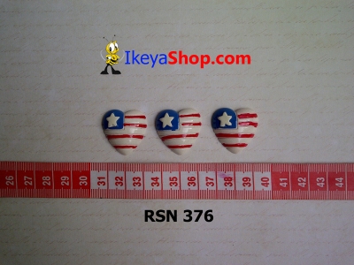 rsn 376  large2